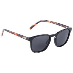 Lunettes De Soleil AZR Money Vernie Noir Ecaille Gris Polarized